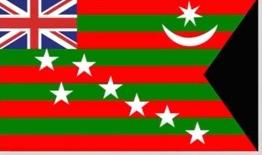 Historical India Flag 1917